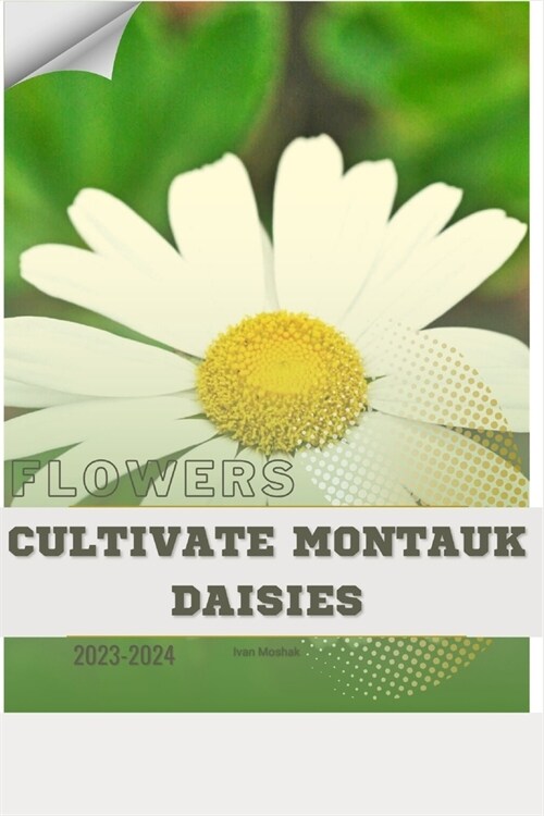 Cultivate Montauk Daisies: Become flowers expert (Paperback)