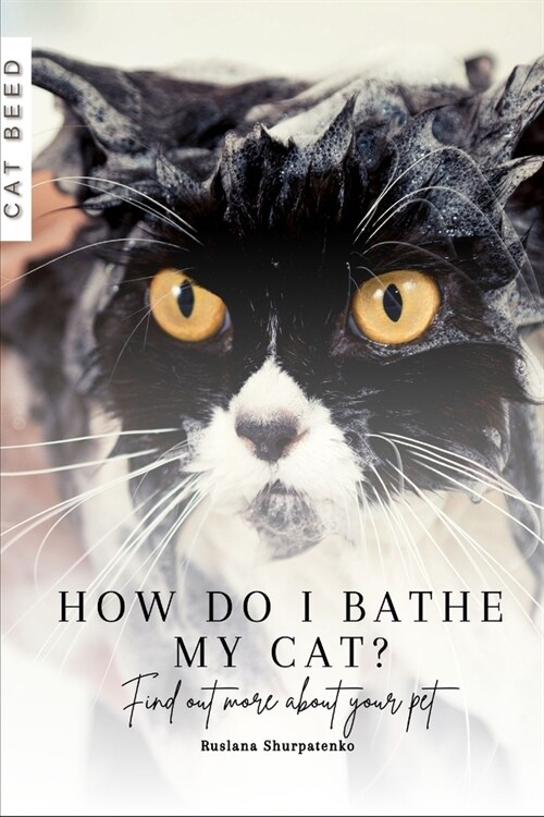 How do I bathe my cat?: Find out more about your pet (Paperback)