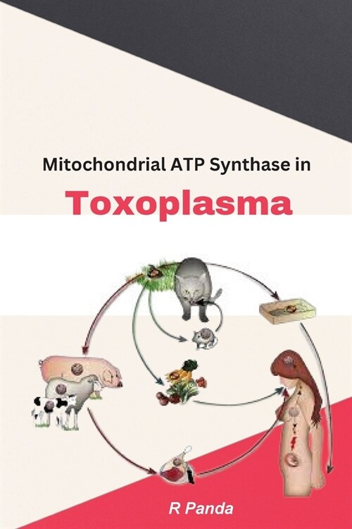 Mitochondrial ATP Synthase In Toxoplasma (Paperback)