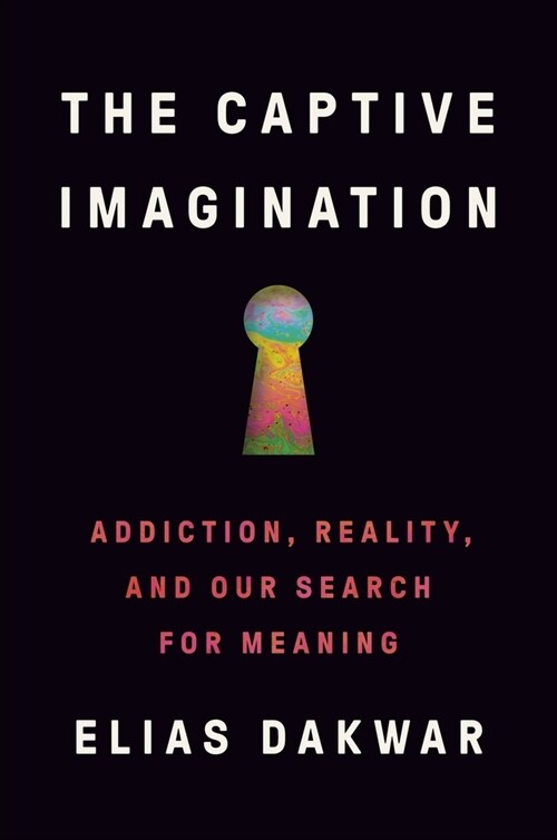 The Captive Imagination: Addiction, Reality, and Our Search for Meaning (Hardcover)