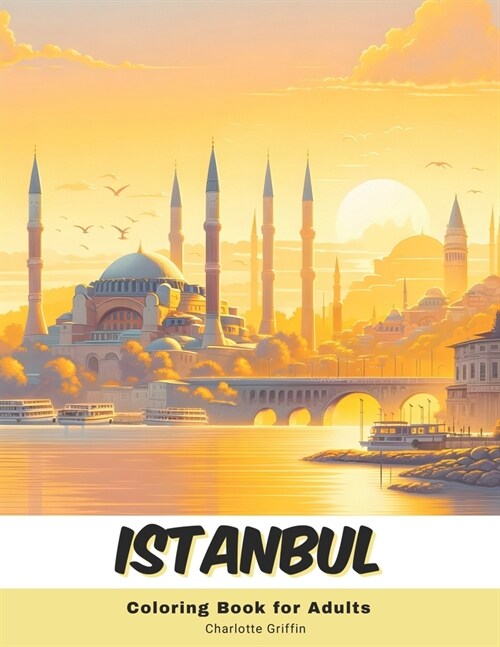 Istanbul Coloring Book for Adults: 40 Pages of Istanbul landmarks (Paperback)