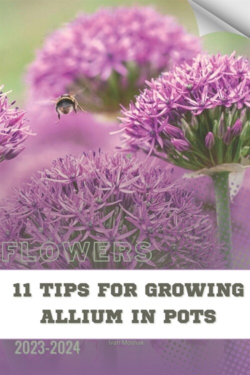 11 Tips For Growing Allium in Pots: Become flowers expert (Paperback)
