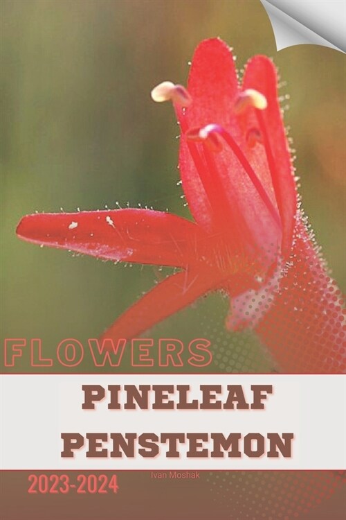 Pineleaf Penstemon: Become flowers expert (Paperback)
