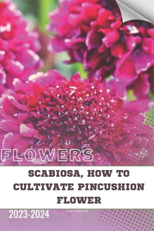 Scabiosa, How to Cultivate Pincushion Flower: Become flowers expert (Paperback)