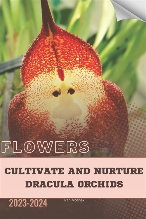 Cultivate and Nurture Dracula Orchids: Become flowers expert (Paperback)
