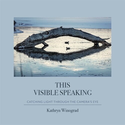 This Visible Speaking: Catching Light Through The Cameras Eye (Paperback)
