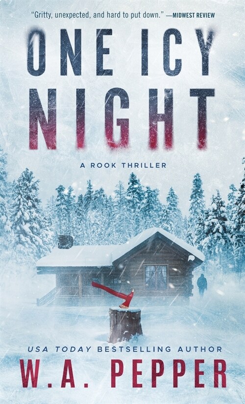 One Icy Night (Hardcover)