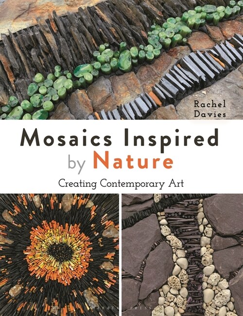 Mosaics Inspired by Nature : Creating Contemporary Art (Paperback)