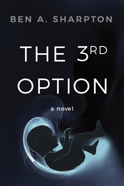 The 3rd Option (2nd Ed.) (Paperback, 2)