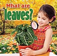 What Are Leaves? (Paperback)