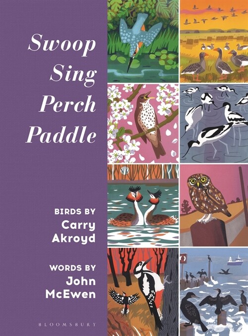 Swoop Sing Perch Paddle : Birds by Carry Akroyd (Hardcover)