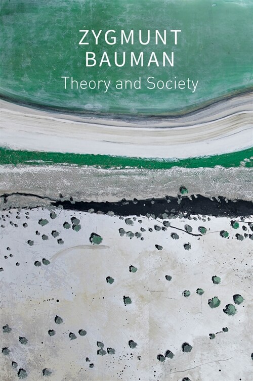 Theory and Society : Selected Writings, Volume 3 (Paperback)