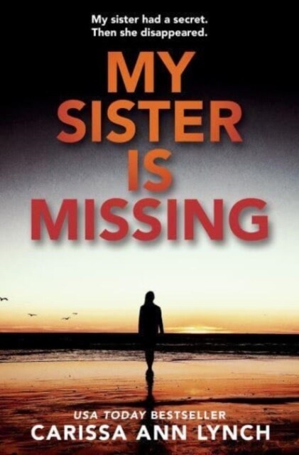 My Sister is Missing (Paperback)