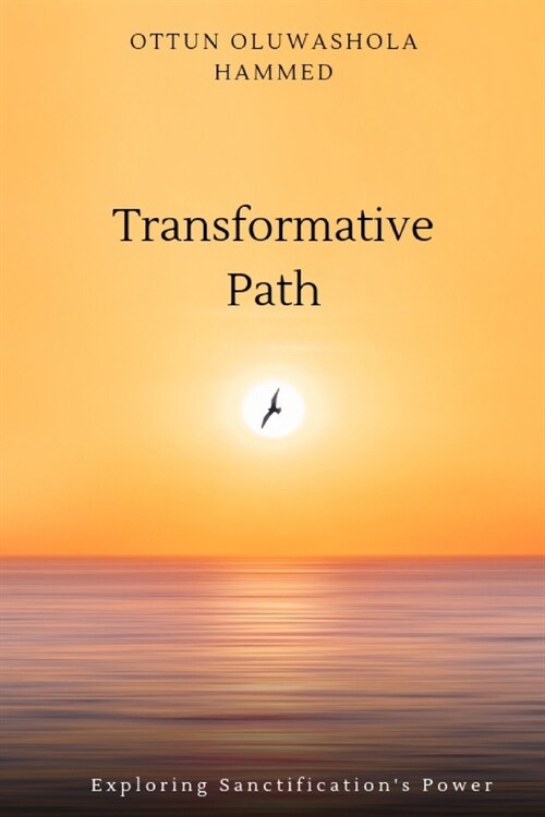 Transformative Path: Exploring the sanctifications power (Paperback)