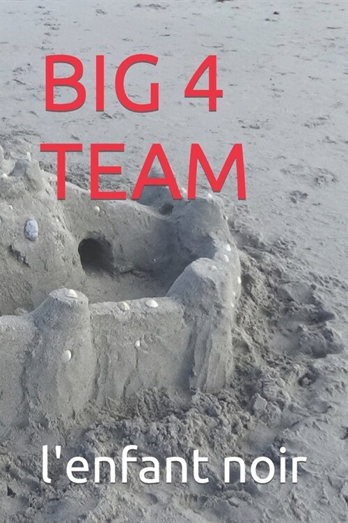 Big 4 Team (Paperback)