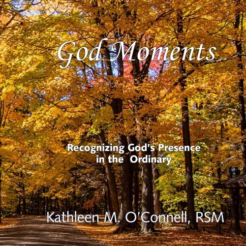 God Moments: Recognizing Gods Presence in the ordinary (Paperback)