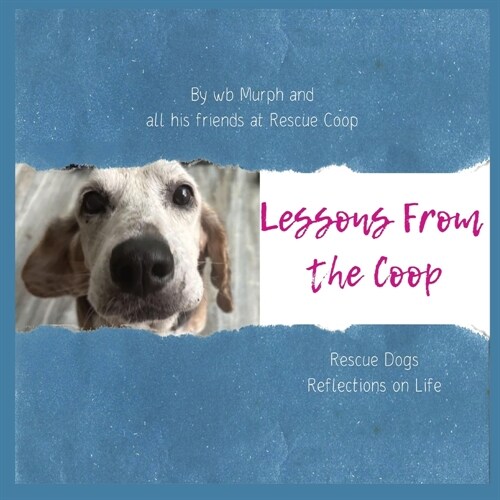 Lessons from the Coop: Rescue Dogs Reflections on Life (Paperback)