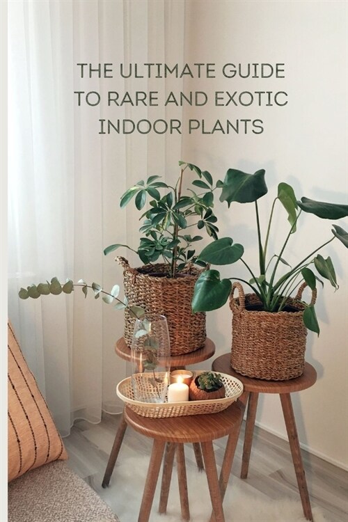 The Ultimate Guide to Rare and Exotic Indoor Plants (Paperback)