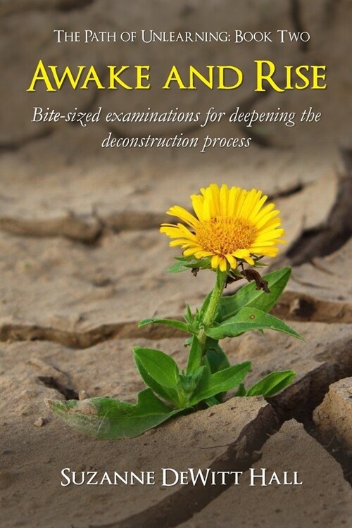 Awake and Rise: Bite-sized examinations for deepening the deconstruction process (Paperback)