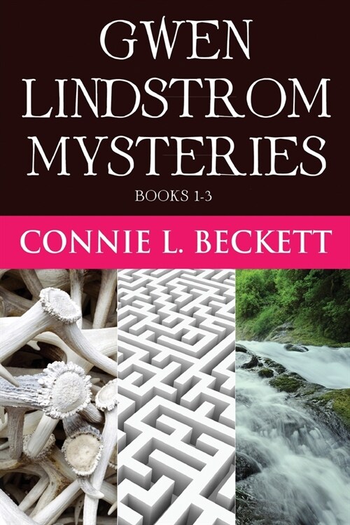 Gwen Lindstrom Mysteries - Books 1-3 (Paperback)