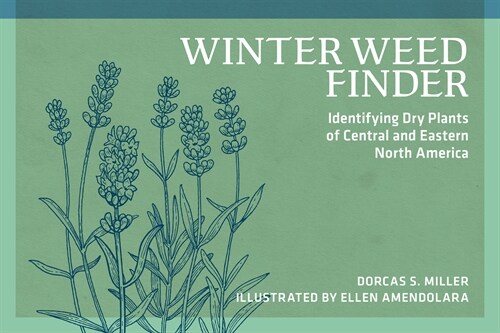 Winter Weed Finder: Identifying Dry Plants of Central and Eastern North America (Paperback)