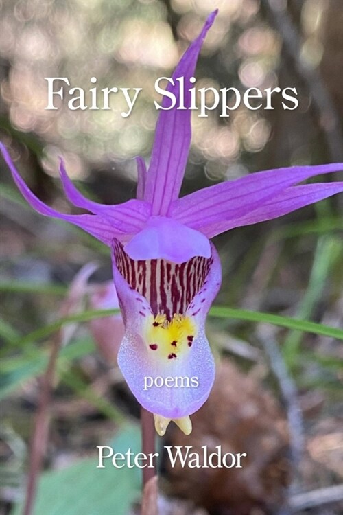Fairy Slippers (Paperback)