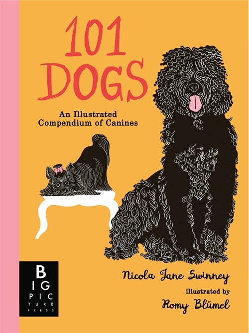 101 Dogs: An Illustrated Compendium of Canines (Hardcover)