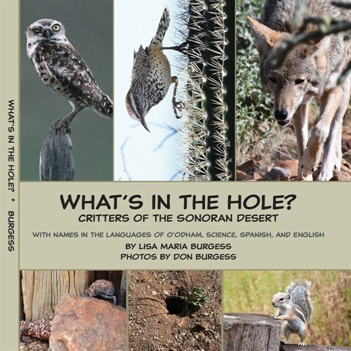 Whats in the hole? Critters of the Sonoran Desert: with names in the languages of Oodham, Science, Spanish, and English (Paperback)