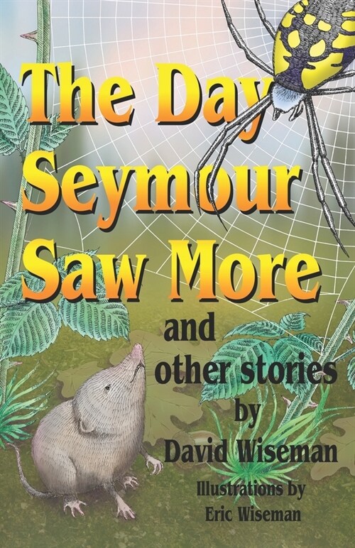The Day Seymour Saw More and Other Stories (Paperback)