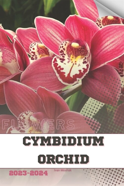 Cymbidium Orchid: Become flowers expert (Paperback)