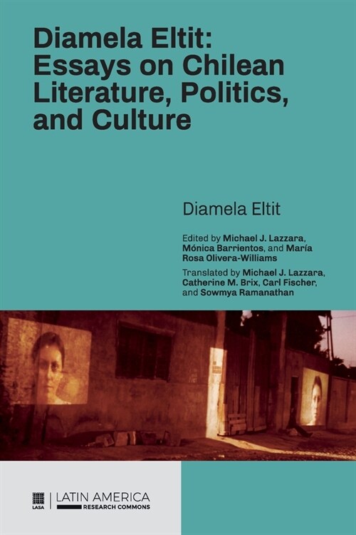 Diamela Eltit: Essays on Chilean Literature, Politics, and Culture (Paperback)