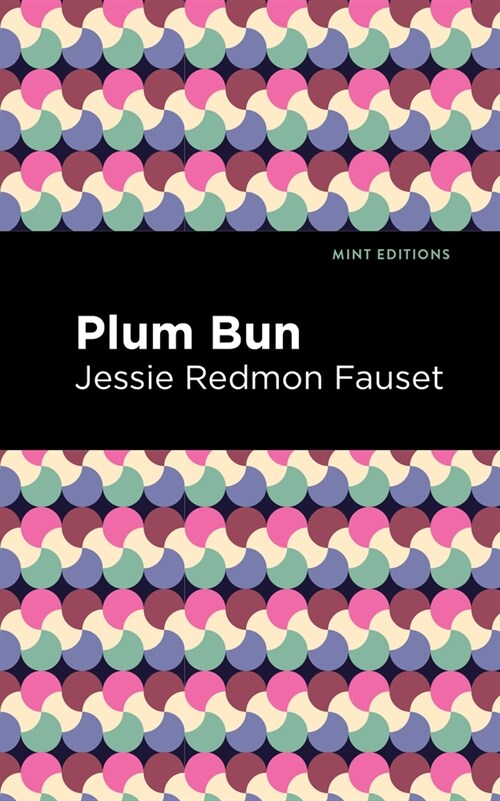 Plum Bun: A Novel Without a Moral (Hardcover)