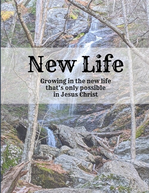 New Life (Paperback)