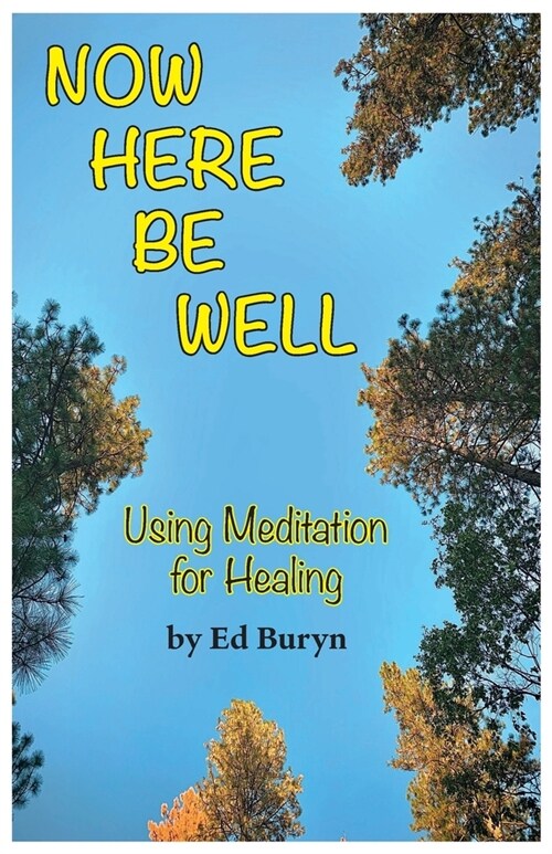 Now Be Here Well: Using Meditation for Healing (Paperback)