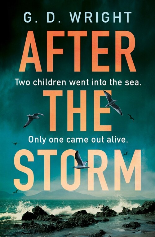 After the Storm (Paperback)