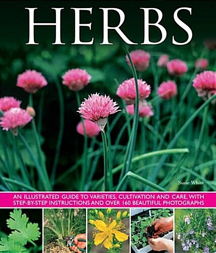Herbs : An Illustrated Guide to Varieties, Cultivation and Care, with Step-by-step Instructions and Over 160 Beautiful Photographs (Hardcover)