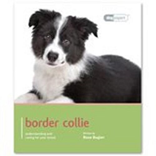 Border Collie- Dog Expert (Paperback)