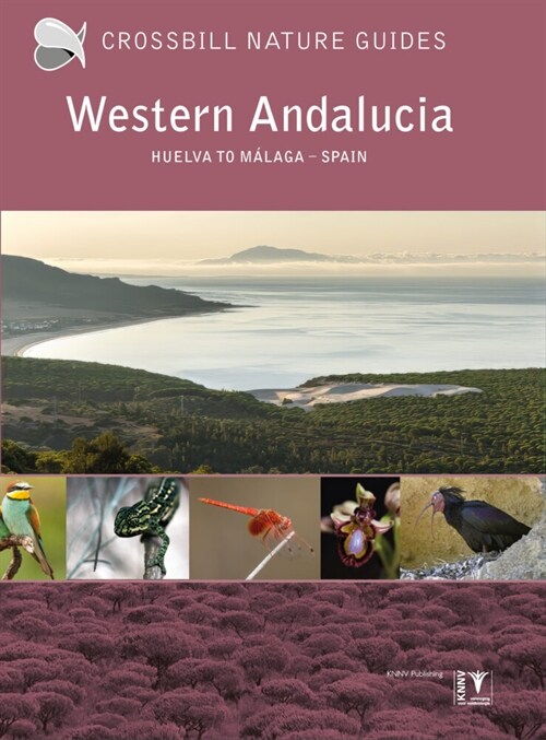 Western Andalucia : Spain (Paperback)