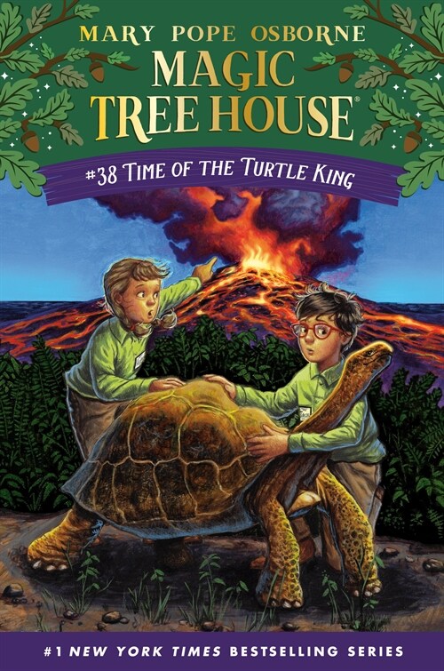 Time of the Turtle King (Paperback)