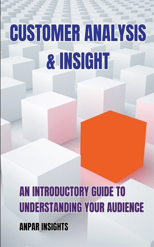 Customer Analysis & Insight: An Introductory Guide To Understanding Your Audience (Paperback)