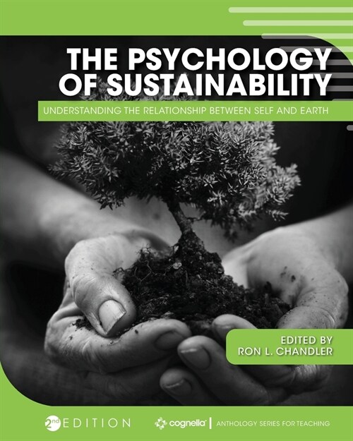 The Psychology of Sustainability: Understanding the Relationship Between Self and Earth (Paperback, 2)