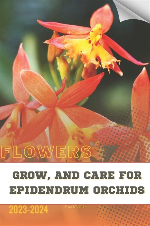 Grow, and Care For Epidendrum Orchids: Become flowers expert (Paperback)