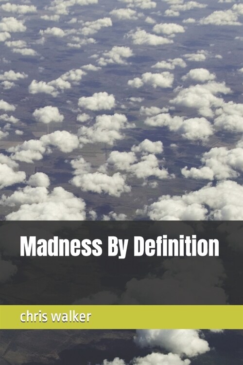 Madness By Definition (Paperback)