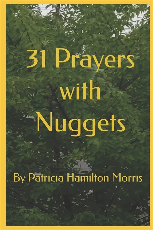 31 Prayers with Nuggets (Paperback)