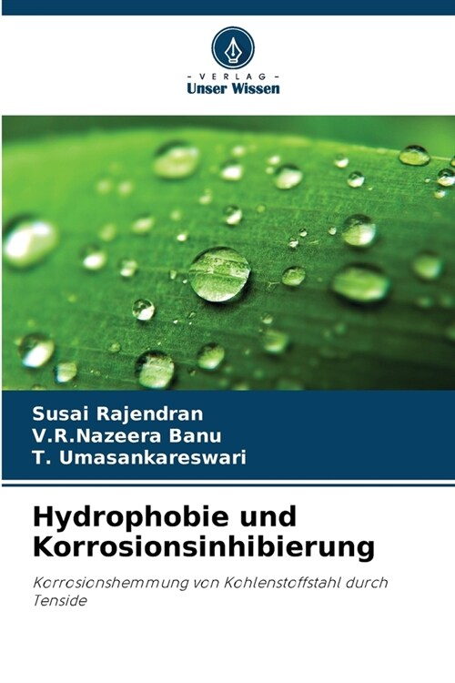 Hydrophobie und Korrosionsinhibierung (Paperback)