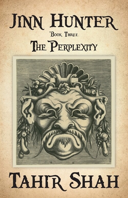 Jinn Hunter: Book Three: The Perplexity (Paperback)