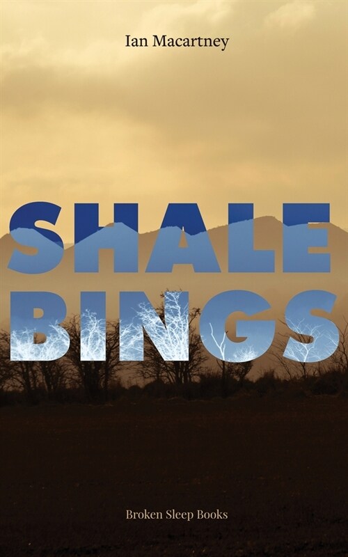 Shale Bings (Paperback)