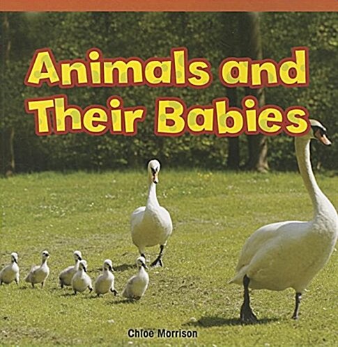 Animals and Their Babies (Paperback)