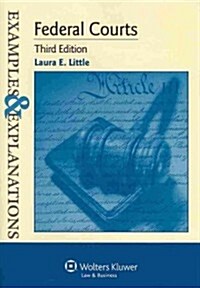 Examples & Explanations for Federal Courts (Paperback, 3)