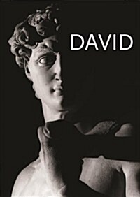 Michelangelos David (Hardcover)